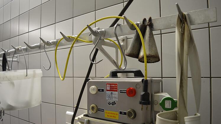 Das elektrische Betäubungsgerät Foto: Ronald Heck