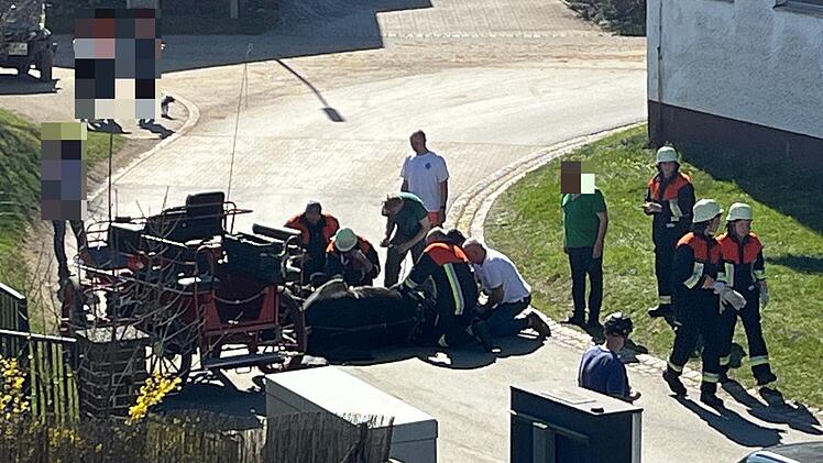 Kurioser Unfall bei Bayreuth: Pferdekutsche macht sich selbstständig - und kollidiert mit Auto