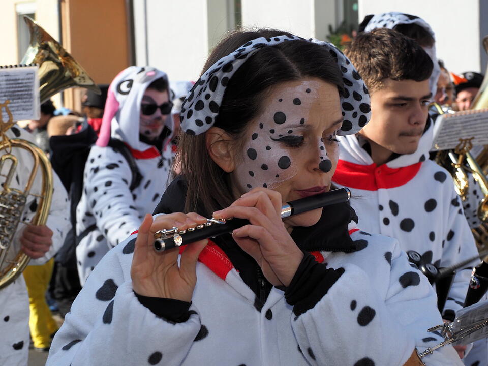Wildes Faschingstreiben in Steinach an der Saale.