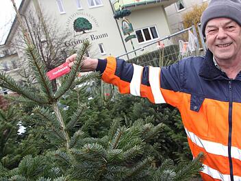 Günther Pangritz mit einer seiner Nordmanntannen - auch der Standort ist durchaus bezeichnend: direkt vor dem Gasthof "Grüner Baum". Foto: Matthias Einwag