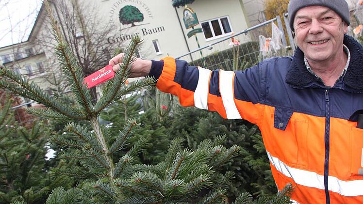 Günther Pangritz mit einer seiner Nordmanntannen - auch der Standort ist durchaus bezeichnend: direkt vor dem Gasthof "Grüner Baum". Foto: Matthias Einwag