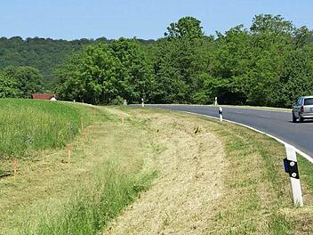 In den nächsten Wochen beginnt der Radwegebau zwischen Fabrikschleichach und Karbach entlang der Staatsstraße. Die Trasse ist bereits abgesteckt und gemäht. Damit wird das Radwegenetz in Rauhenebrach um einen weiteren Abschnitt größer.  Foto: Sabine Weinbeer