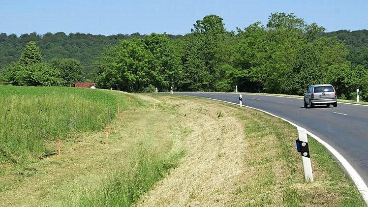 In den nächsten Wochen beginnt der Radwegebau zwischen Fabrikschleichach und Karbach entlang der Staatsstraße. Die Trasse ist bereits abgesteckt und gemäht. Damit wird das Radwegenetz in Rauhenebrach um einen weiteren Abschnitt größer.  Foto: Sabine Weinbeer