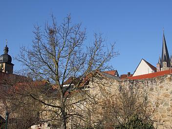 Über die Stadtmauer berichtete Martin Schlegelmilch in seinem Vortrag. Große Teile der Mauer sind bis heute erhalten. Unser Bild zeigt den Bereich an den Grabengärten mit zwei markanten Türmen im Hintergrund: Stadtturm (links) und Pfarrkirche Sankt. Michael. Fotos: ks/sw (3)