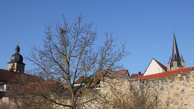 Über die Stadtmauer berichtete Martin Schlegelmilch in seinem Vortrag. Große Teile der Mauer sind bis heute erhalten. Unser Bild zeigt den Bereich an den Grabengärten mit zwei markanten Türmen im Hintergrund: Stadtturm (links) und Pfarrkirche Sankt. Michael. Fotos: ks/sw (3)