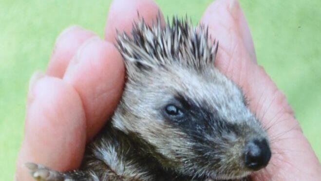 Repro: Barbara Herbst