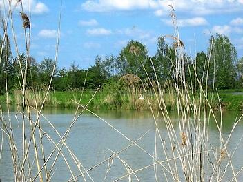 Die Karpfenweiher prägen den Aischgrund. Foto: privat