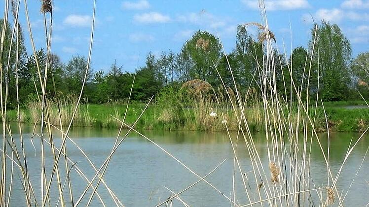 Die Karpfenweiher prägen den Aischgrund. Foto: privat