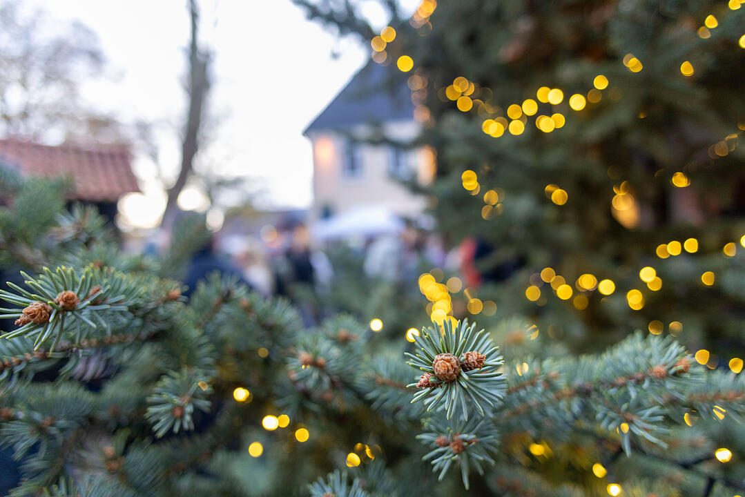 R&ouml;delsee, Traditioneller Weihnachtsmarkt rund um das Schloss