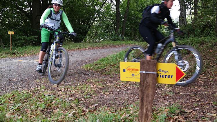 Rad-Vierer in Kothen. Foto: Petra Heurich