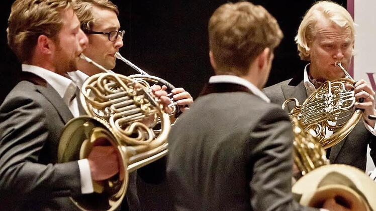 Das Ensemble German Hornsound gastierte mit seinem Programm "Siegfried und Violetta" in Coburg (von links): Sebastian Schorr, Stephan Schottstädt, Timo Steininger und Christoph Eß.Fotos: Jochen Berger