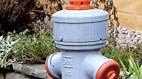 Die Hydranten für den Feuerschutz als Streitobjekt: Für den Wasserzweckverband Veitensteingruppe ist die Aufgabe des Brandschutzes ganz klar eine Angelegenheit der jeweiligen Gemeinde. Hier ein Hydrant in Rudendorf (Gemeinde Ebelsbach). Foto: Günther Geiling