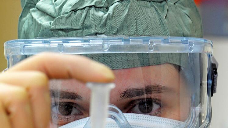 Studie findet neue Ergebnisse: Protein GRK4 wird in untersuchten Zellen gefunden. Symbolfoto: Foto: Ralf Hirschberger (zu dpa 0932 vom 27.07.2009)