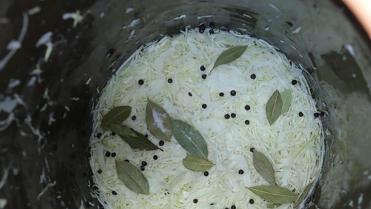 Blick von oben: Jede Schicht Kohl wird mit Salz, Wacholder und Lorbeer bedeckt. Foto: Barbara Herbst