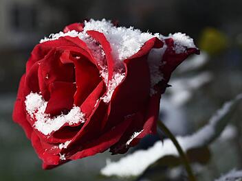 Foto: Uwe Zucchi/dpa