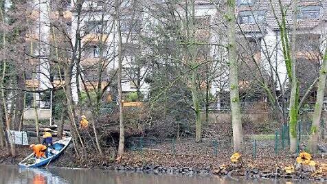 Am Rittersteich laufen bereits Baumpflegearbeiten. Am Montagnachmittag holten die Mitarbeiter der Stadt Äste aus dem Wasser.