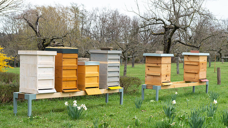 Symbolbild: Bienenkästen
