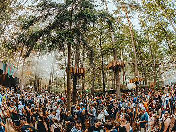 Herzogenaurach: Open Beatz Festival verkündet Neuerung für 2025 - "Darkwoods"-Bühne erweitert Waldareal