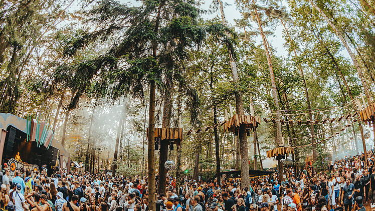 Herzogenaurach: Open Beatz Festival verkündet Neuerung für 2025 - "Darkwoods"-Bühne erweitert Waldareal