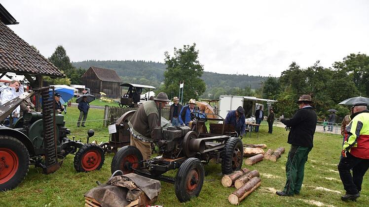Die Interessengemeinschaft historischer Land-und Forsttechnik aus Bücheloh (Ilm-Kreis) zeigte mit altem Gerät, wie Stämme früher gesägt und gespalten wurden. Foto: Gabi Arnold