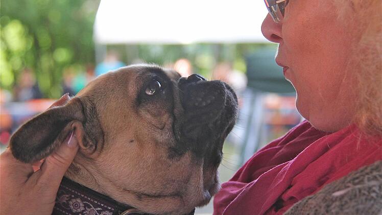 Ramona Götz vom Deutschen Bulldoggen-Klub mit ihrer Hündin Bendikta