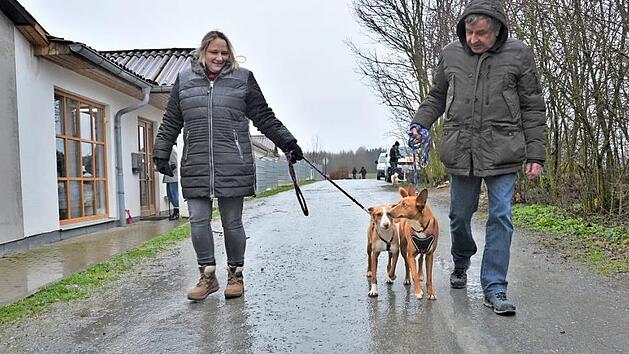 In Spanien haben Tinga und Tingo keine glücklichen Erfahrungen mit Menschen gemacht. Das soll sich in Kronach ändern.