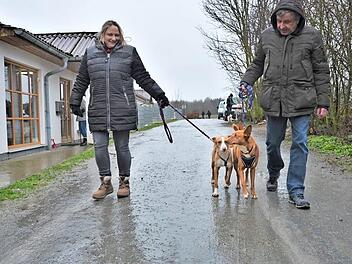 In Spanien haben Tinga und Tingo keine gl&uuml;cklichen Erfahrungen mit Menschen gemacht. Das soll sich in Kronach &auml;ndern.