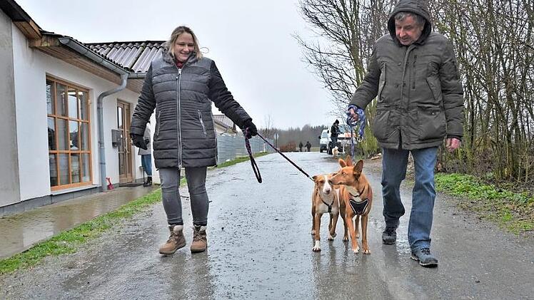 In Spanien haben Tinga und Tingo keine glücklichen Erfahrungen mit Menschen gemacht. Das soll sich in Kronach ändern.
