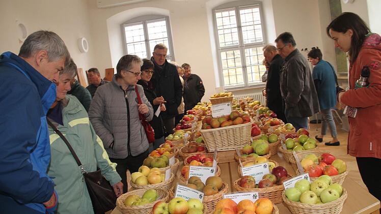 Groß war auch das Interesse an der umfangreichen Apfelausstellung des Pomologen Ewald Truckenbrodt aus Untersiemau.