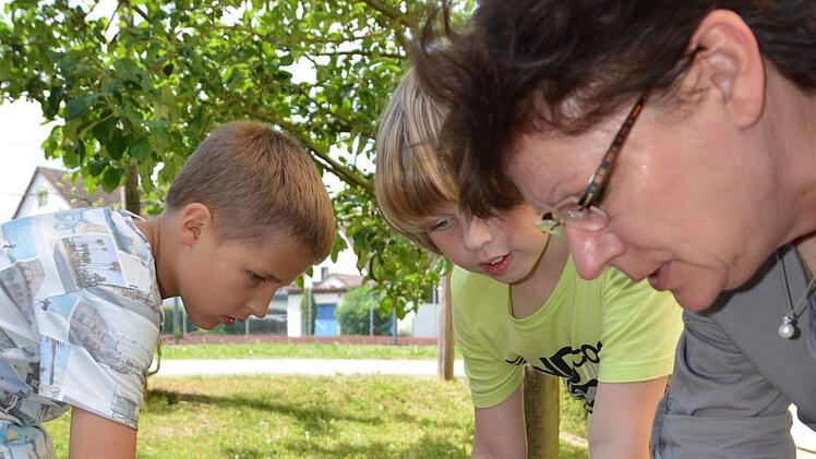 Vor den Ferien bringen die Grundschüler noch einmal ihre Beete in Schuss. Foto: Dagmar Besand