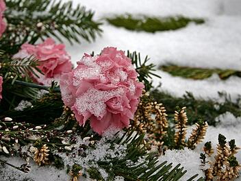 Rosen auf dem Grab stehen für Liebe.