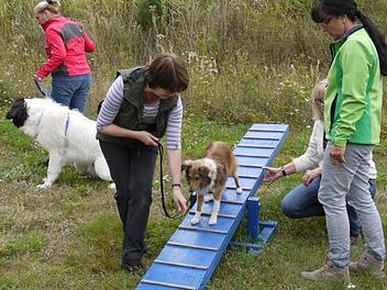 Sabine Karl-Kraus (rechts) beobachtet Hund und Frauchen beim Üben in der Hundeschule. Foto: Pauline Lindner