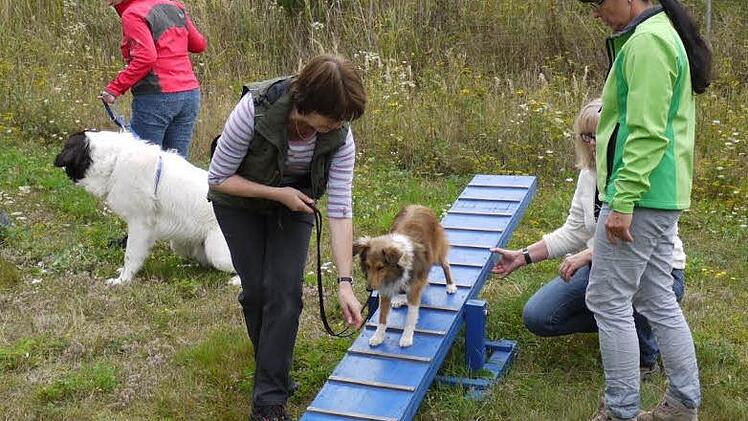 Sabine Karl-Kraus (rechts) beobachtet Hund und Frauchen beim Üben in der Hundeschule. Foto: Pauline Lindner