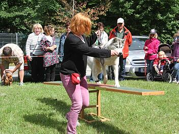 Eine beachtliche Leistung bei der Zamperlshow präsentierte Kerstin Rödel mit dem Pflege-Husky Melli.