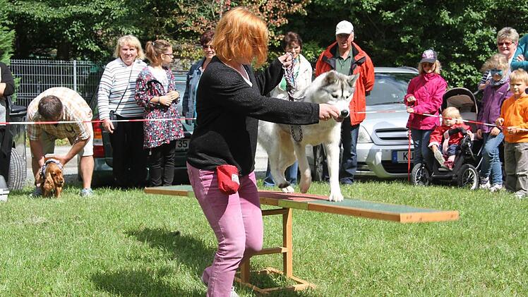 Eine beachtliche Leistung bei der Zamperlshow präsentierte Kerstin Rödel mit dem Pflege-Husky Melli.
