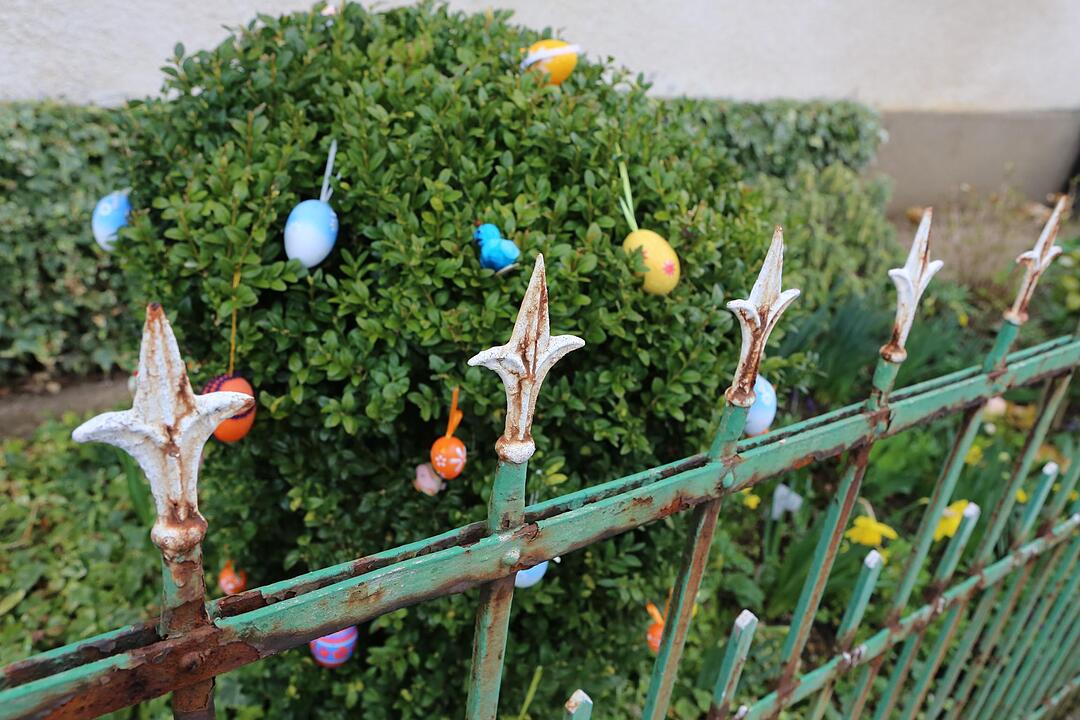 SoS Poppendorf bei Pretzfeld im  Lkr. Fo; Foto: Barbara Herbst