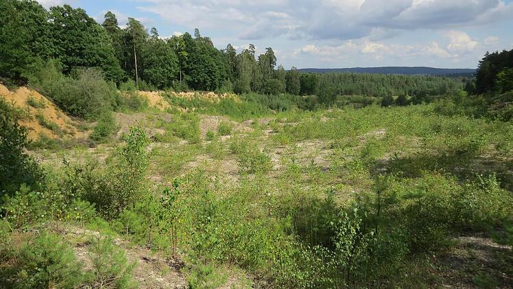 Foto: Stephan Neumann