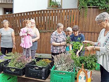 Tüchtige Frauen des Obst- und Gartenbauvereins Windheim banden Kräuterbüschel zum Hochfest „Mariä Himmelfahrt“.