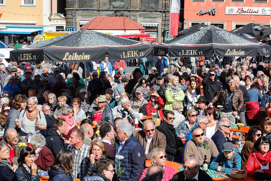 Korbmarkt in Lichtenfels am Samstag