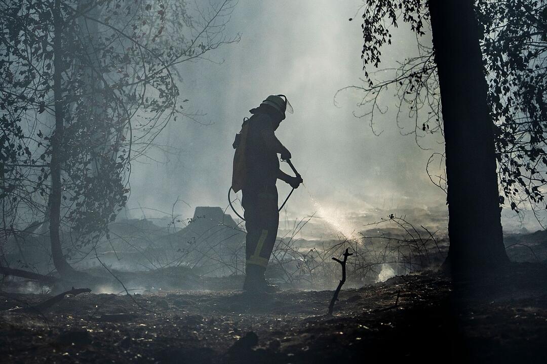 Waldbrand in Hessen