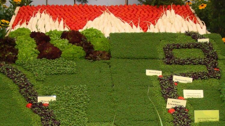 Am Main liegen die bekanntesten Anbaugebiete im Landkreis Kitzingen.  Foto: es