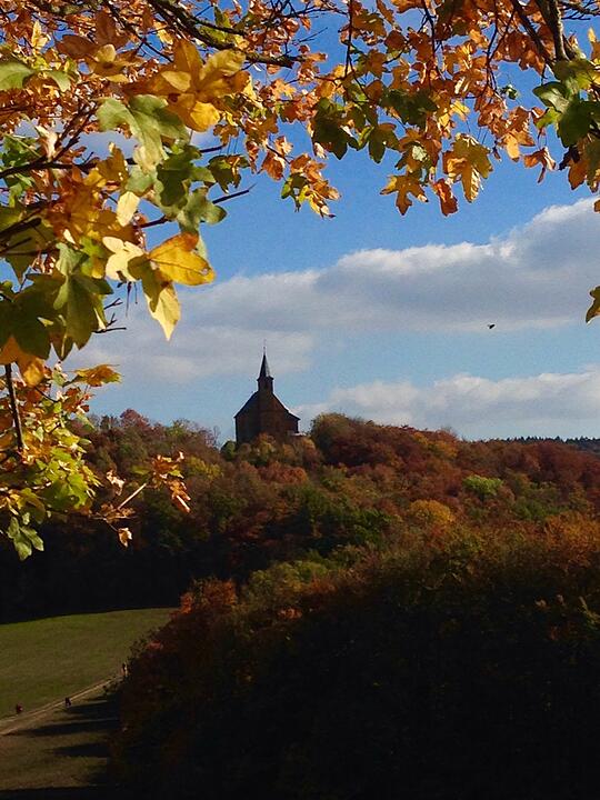 Die schönsten Fotos im Herbst aus Forchheim und Umgebung
