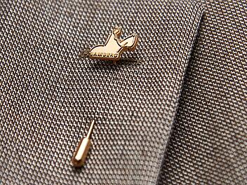 Auszeichnung für Ehrenamtliche: Bewerber für Bamberger Bürgernadel gesucht