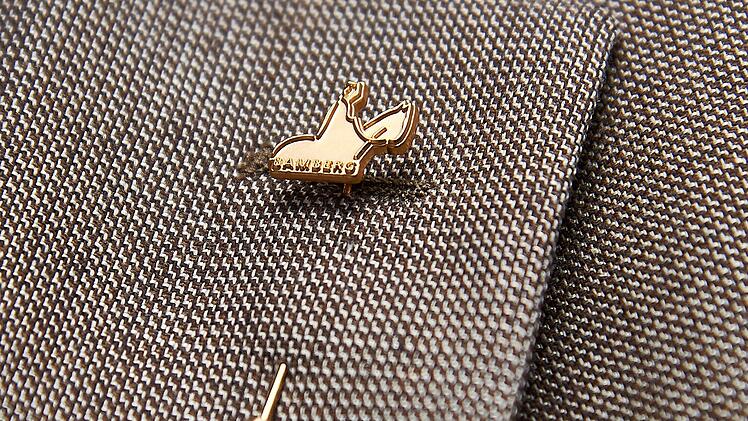 Auszeichnung für Ehrenamtliche: Bewerber für Bamberger Bürgernadel gesucht