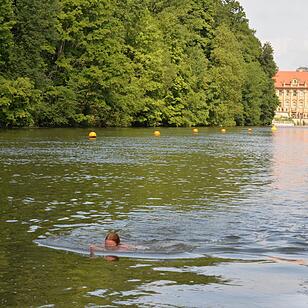 In der Regnitz die Fische zum Wettschwimmen herausfordern.