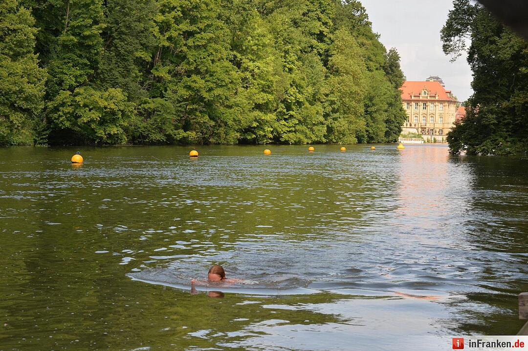 In der Regnitz die Fische zum Wettschwimmen herausfordern.