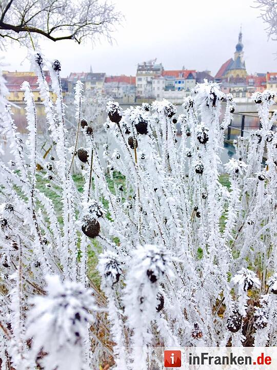 Eis und Schnee in Franken - die schönsten Winterleserfotos