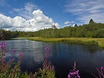 Der Moorweiher im Roten Moor. Foto: Jürgen Hüfner