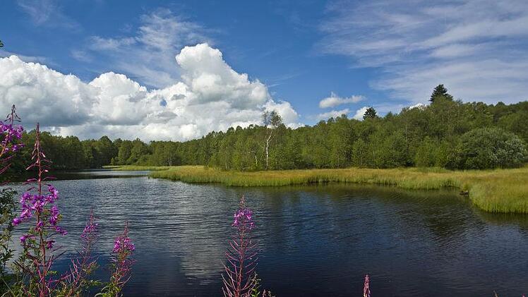 Der Moorweiher im Roten Moor. Foto: Jürgen Hüfner