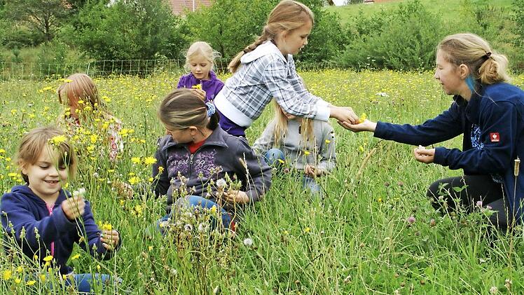 Beim Workshop "LandArt" sammelten Kinder Blüten. Welche am besten für Kunst geeignet sind, erfuhren sie von Michaela von der Linden.